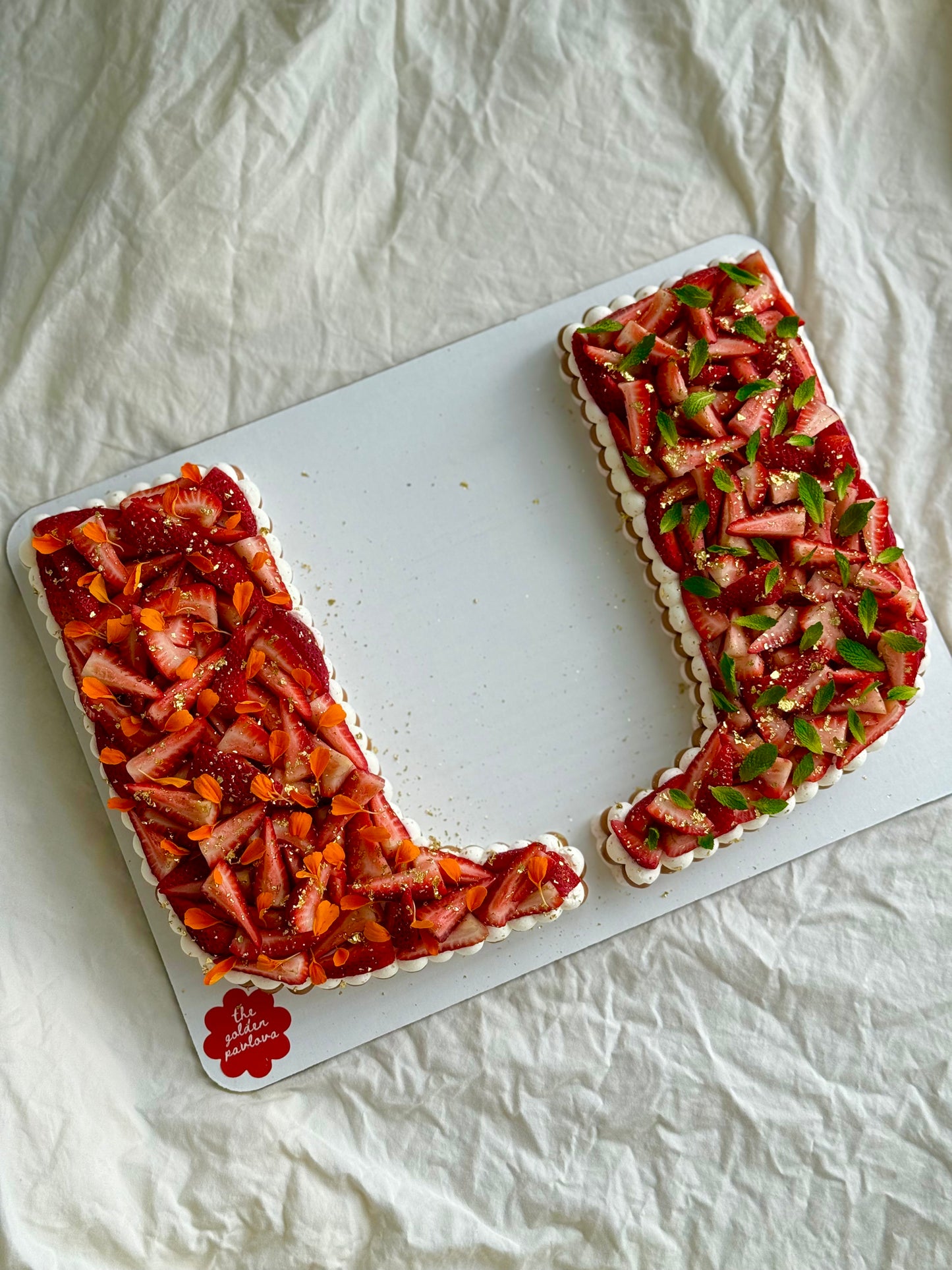 UM Logo Pavlova